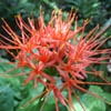NatureHq: image 11 0f 32 thumb