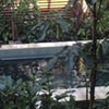 NatureHq: image 9 0f 32 thumb