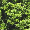NatureHq: image 30 0f 32 thumb