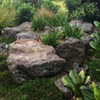NatureHq: image 15 0f 32 thumb