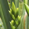 NatureHq: image 25 0f 32 thumb
