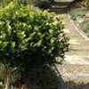 NatureHq: image 3 0f 32 thumb