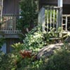 NatureHq: image 1 0f 32 thumb