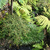 NatureHq: image 3 0f 32 thumb