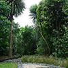 NatureHq: image 5 0f 32 thumb