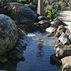 NatureHq: image 12 0f 32 thumb
