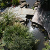 Leigh Bach: image 14 0f 32 thumb