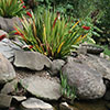 NatureHq: image 15 0f 32 thumb