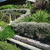 NatureHq: image 16 0f 32 thumb