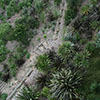 NatureHq: image 17 0f 32 thumb