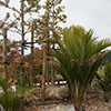 NatureHq: image 20 0f 32 thumb