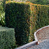 NatureHq: image 30 0f 32 thumb