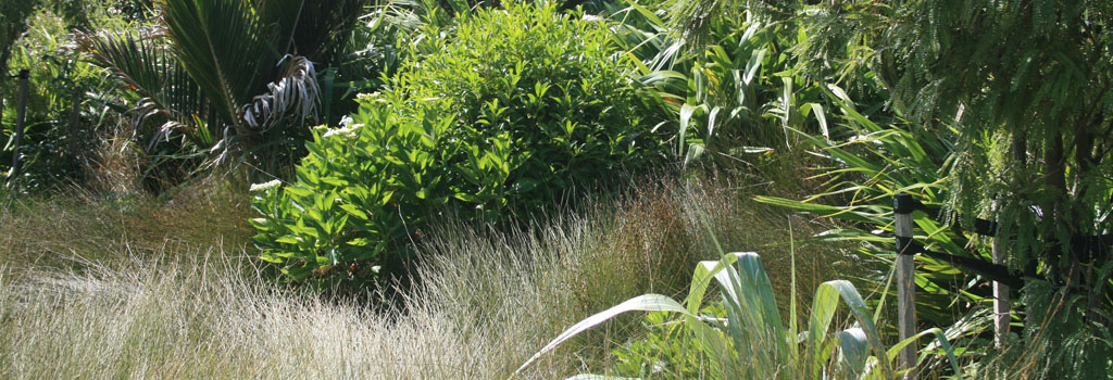 enviromental-design