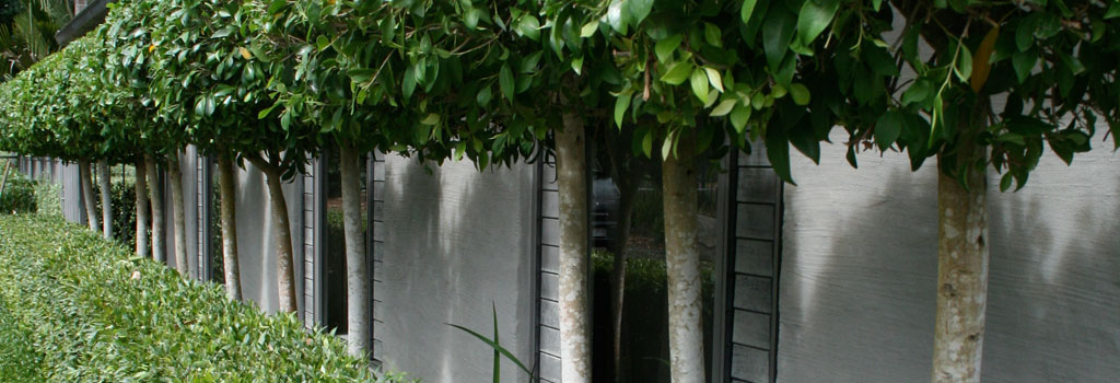 Landscape-garden-design