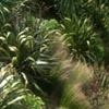Outer Space Landscape Design