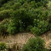 Outer Space Landscape Design