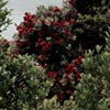 Outer Space Landscape Design