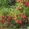 Outer Space Landscape Design