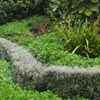 Outer Space Landscape Design