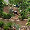 Outer Space Landscape Design