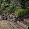Outer Space Landscape Design