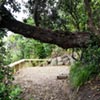 Outer Space Landscape Design