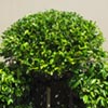NatureHq: image 3 0f 7