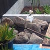 NatureHq: image 4 0f 7