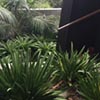 NatureHq: image 5 0f 7