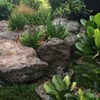 NatureHq: image 6 0f 7