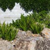 NatureHq: image 6 0f 7
