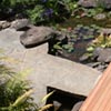 NatureHq: image 6 0f 7