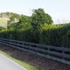 NatureHq: image 6 0f 7