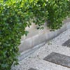 NatureHq: image 6 0f 7