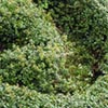 NatureHq: image 6 0f 7