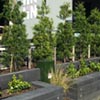 NatureHq: image 6 0f 7