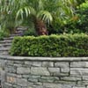 NatureHq: image 7 0f 7