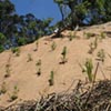 NatureHq: image 1 0f 8 thumb