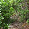NatureHq: image 5 0f 8 thumb