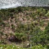 NatureHq: image 7 0f 8 thumb