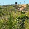 NatureHq: image 7 0f 7 thumb