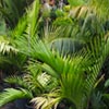 NatureHq: image 2 0f 8 thumb
