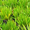 NatureHq: image 3 0f 8 thumb