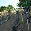 NatureHq: image 4 0f 8 thumb