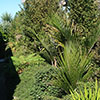NatureHq: image 6 0f 8 thumb