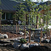 NatureHq: image 4 0f 8 thumb
